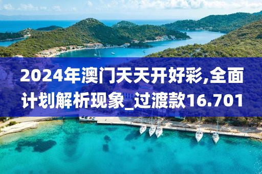 2024年澳门天天开好彩,全面计划解析现象_过渡款16.701