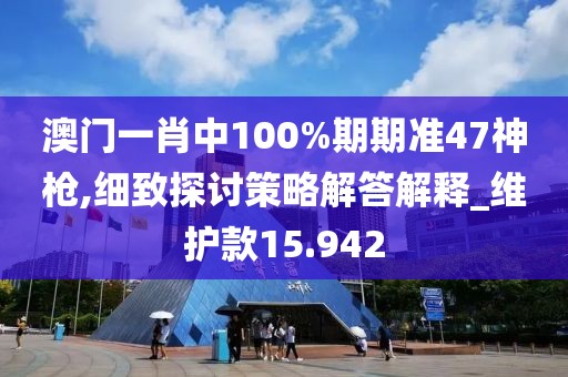 澳门一肖中100%期期准47神枪,细致探讨策略解答解释_维护款15.942