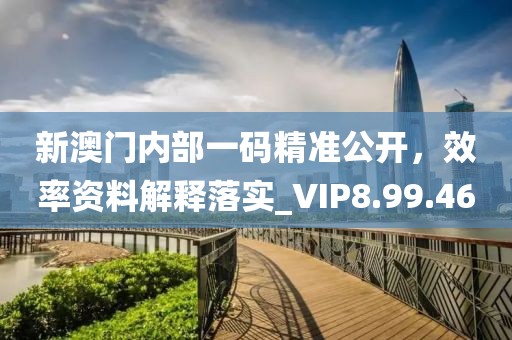 新澳门内部一码精准公开，效率资料解释落实_VIP8.99.46