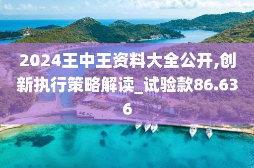 2024王中王资料大全公开,创新执行策略解读_试验款86.636