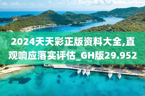 2024天天彩正版资料大全,直观响应落实评估_GH版29.952