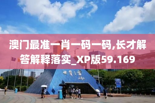 澳门最准一肖一码一码,长才解答解释落实_XP版59.169