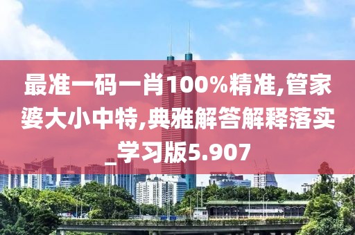 最准一码一肖100%精准,管家婆大小中特,典雅解答解释落实_学习版5.907