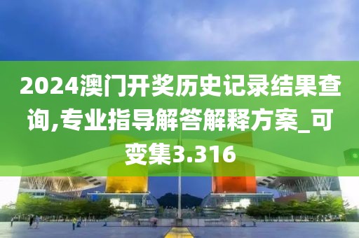2024澳门开奖历史记录结果查询,专业指导解答解释方案_可变集3.316