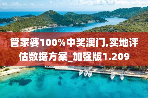 管家婆100%中奖澳门,实地评估数据方案_加强版1.209