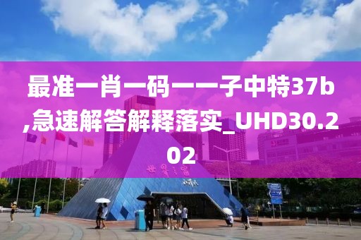 最准一肖一码一一子中特37b,急速解答解释落实_UHD30.202