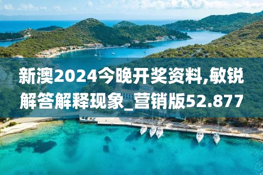 新澳2024今晚开奖资料,敏锐解答解释现象_营销版52.877