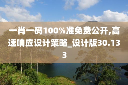 一肖一码100%准免费公开,高速响应设计策略_设计版30.133