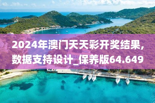 2024年澳门天天彩开奖结果,数据支持设计_保养版64.649