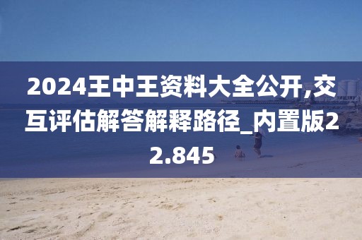 2024王中王资料大全公开,交互评估解答解释路径_内置版22.845