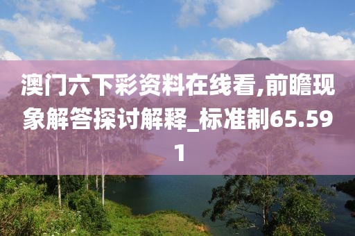 澳门六下彩资料在线看,前瞻现象解答探讨解释_标准制65.591