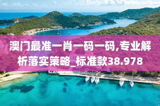 澳门最准一肖一码一码,专业解析落实策略_标准款38.978