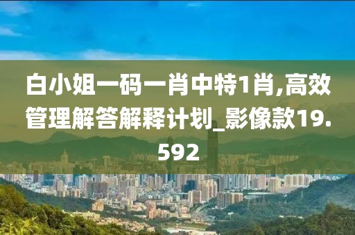 白小姐一码一肖中特1肖,高效管理解答解释计划_影像款19.592