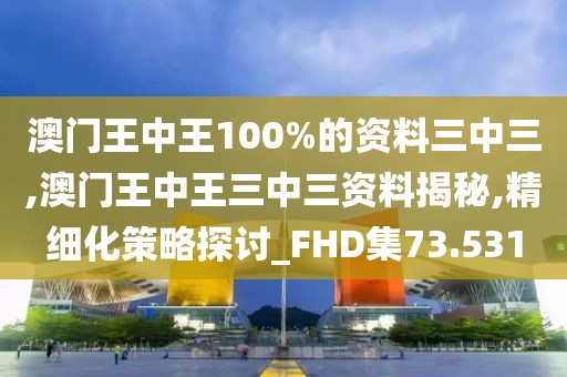 澳门王中王100%的资料三中三,澳门王中王三中三资料揭秘,精细化策略探讨_FHD集73.531
