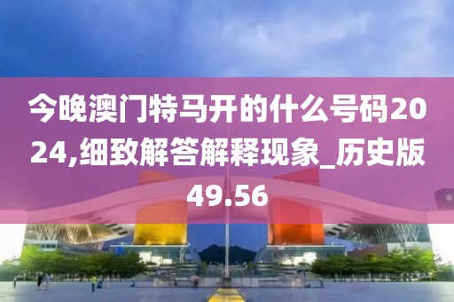 今晚澳门特马开的什么号码2024,细致解答解释现象_历史版49.56