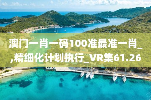 澳门一肖一码100准最准一肖_,精细化计划执行_VR集61.26