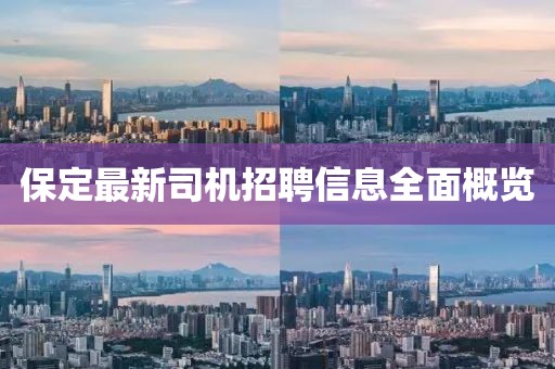 保定最新司机招聘信息全面概览