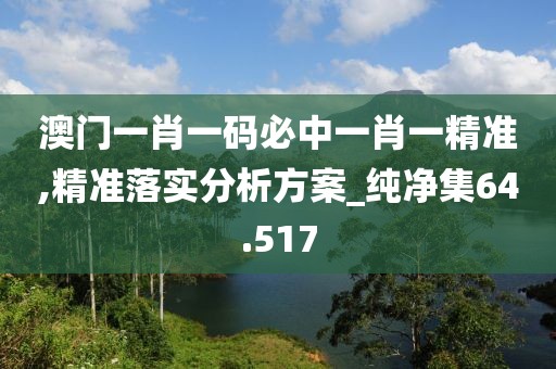 澳门一肖一码必中一肖一精准,精准落实分析方案_纯净集64.517
