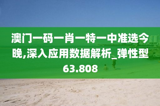 澳门一码一肖一特一中准选今晚,深入应用数据解析_弹性型63.808