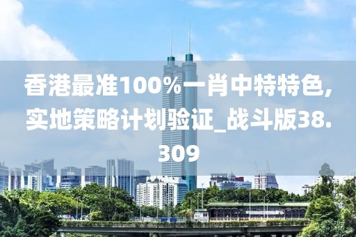 香港最准100%一肖中特特色,实地策略计划验证_战斗版38.309