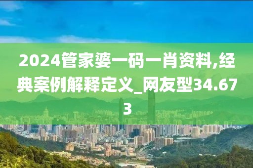 2024管家婆一码一肖资料,经典案例解释定义_网友型34.673