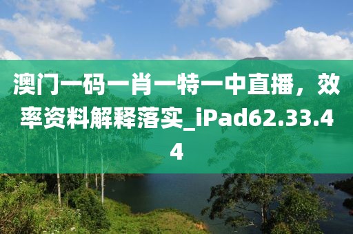 澳门一码一肖一特一中直播，效率资料解释落实_iPad62.33.44