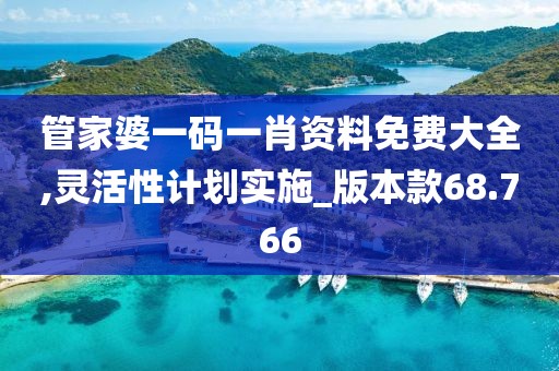 管家婆一码一肖资料免费大全,灵活性计划实施_版本款68.766