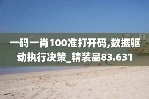 一码一肖100准打开码,数据驱动执行决策_精装品83.631