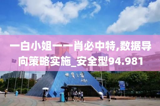 一白小姐一一肖必中特,数据导向策略实施_安全型94.981