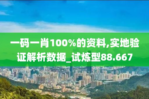 一码一肖100%的资料,实地验证解析数据_试炼型88.667