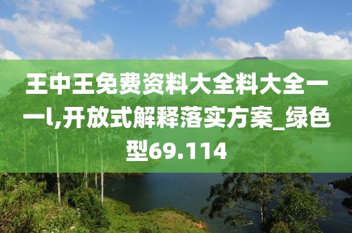 王中王免费资料大全料大全一一l,开放式解释落实方案_绿色型69.114