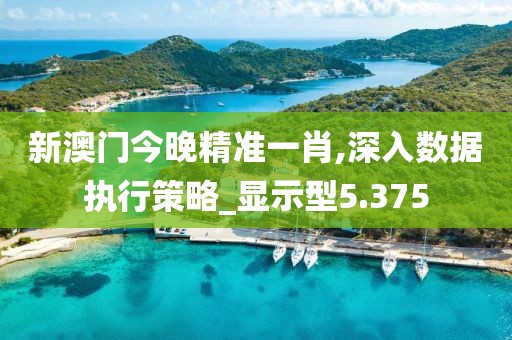 新澳门今晚精准一肖,深入数据执行策略_显示型5.375