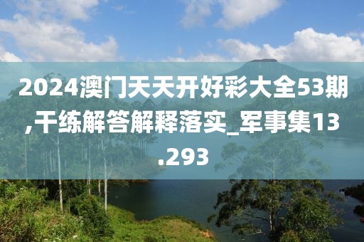 2024澳门天天开好彩大全53期,干练解答解释落实_军事集13.293