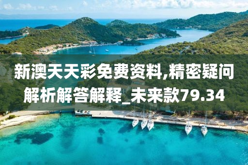 新澳天天彩免费资料,精密疑问解析解答解释_未来款79.34