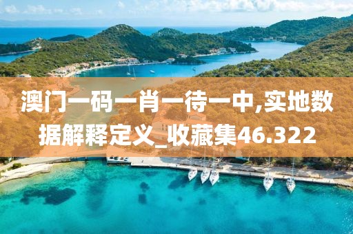 澳门一码一肖一待一中,实地数据解释定义_收藏集46.322