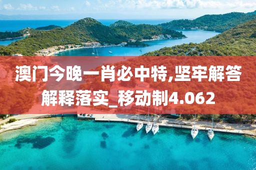 澳门今晚一肖必中特,坚牢解答解释落实_移动制4.062