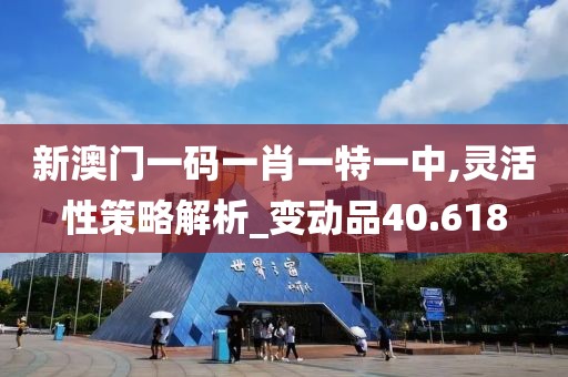 新澳门一码一肖一特一中,灵活性策略解析_变动品40.618