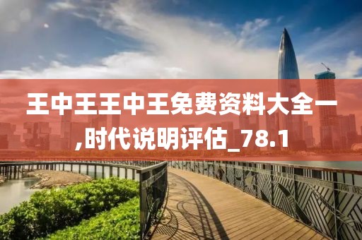 王中王王中王免费资料大全一,时代说明评估_78.1