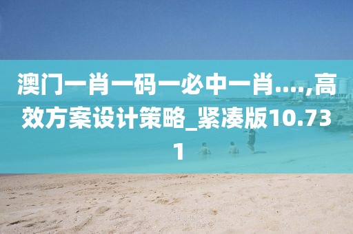 澳门一肖一码一必中一肖....,高效方案设计策略_紧凑版10.731
