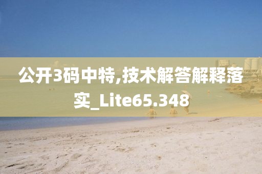 公开3码中特,技术解答解释落实_Lite65.348