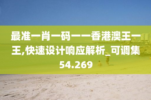最准一肖一码一一香港澳王一王,快速设计响应解析_可调集54.269