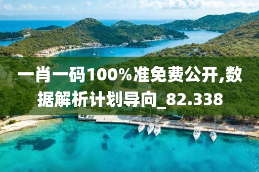 一肖一码100%准免费公开,数据解析计划导向_82.338