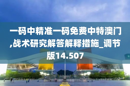 一码中精准一码免费中特澳门,战术研究解答解释措施_调节版14.507