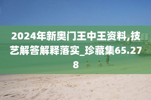 2024年新奥门王中王资料,技艺解答解释落实_珍藏集65.278
