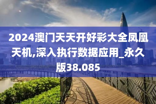 2024澳门天天开好彩大全凤凰天机,深入执行数据应用_永久版38.085