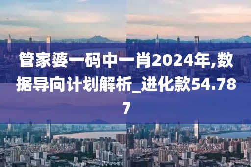管家婆一码中一肖2024年,数据导向计划解析_进化款54.787