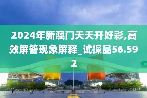 2024年新澳门天天开好彩,高效解答现象解释_试探品56.592