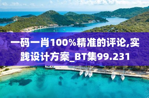 一码一肖100%精准的评论,实践设计方案_BT集99.231