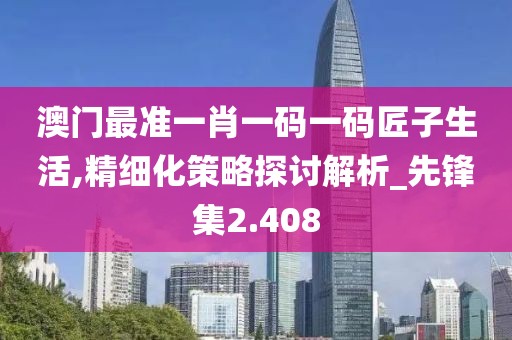 澳门最准一肖一码一码匠子生活,精细化策略探讨解析_先锋集2.408