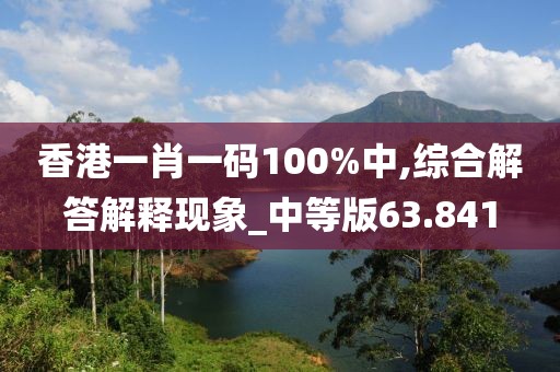 香港一肖一码100%中,综合解答解释现象_中等版63.841